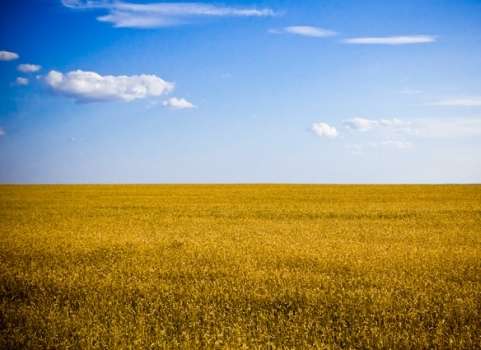 8 самых необычных фактов об Украине
