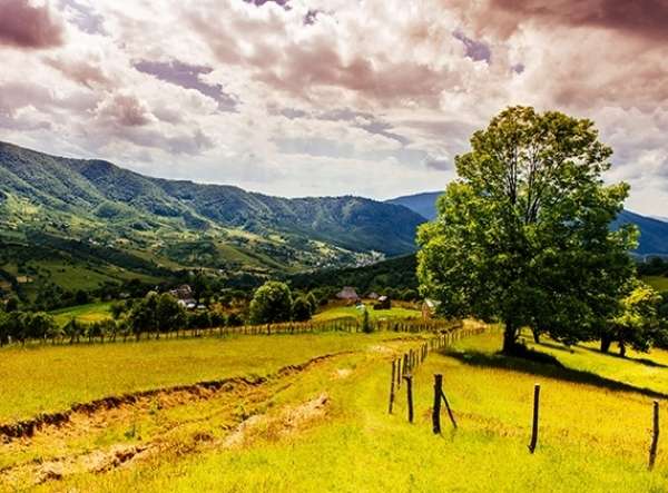 ТОП-5 самых красивых мест весенней Украины