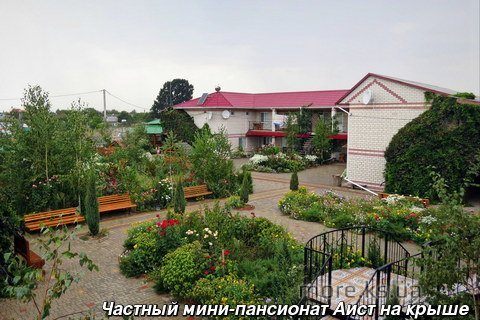 Кирилловка | Аист на крыше