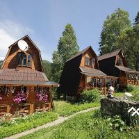 Хатки на пеньках