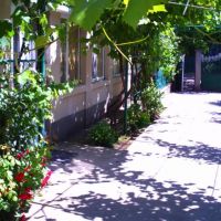 У трёх зайцев