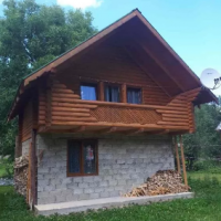 Яблуневий цвіт