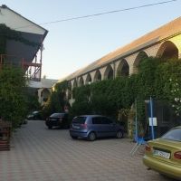 Білий Лелека