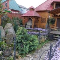 Зорі Карпат (Dawn Carpathians)