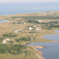 Золотая рыбка