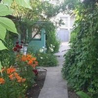 Домашній затишок