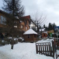 Беркут