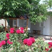 Абрикосовый джем