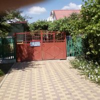 КОТЯЧИЙ БУДИНОК