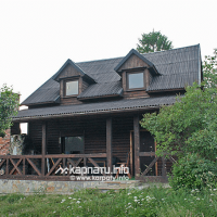 Білий гриб (Biluy Grib)