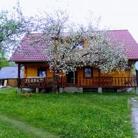 Трембита