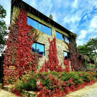 Музыкальная гавань