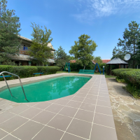 У Нестора Ивановича