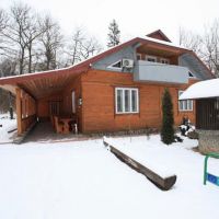 Лісова тиша (Лесная тишина)