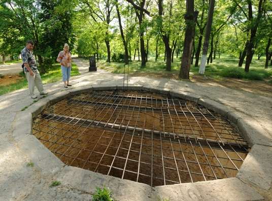 10 фактов