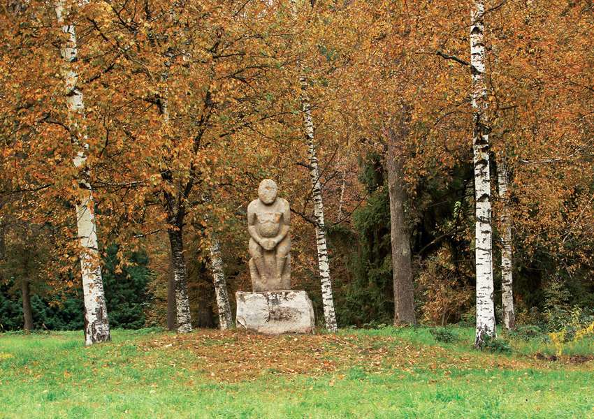 Волшебные дендропарки Украины